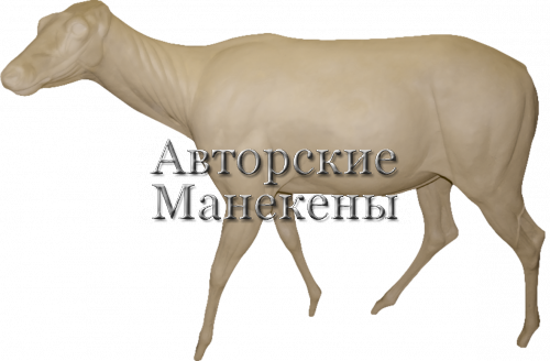 Манекен марал МРЛМ-1 Л