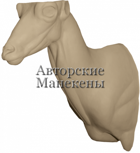 Манекен козерог испанский (рондо) КЗИТ-1 Л