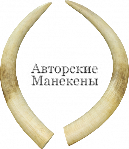 Бивни слон африканский