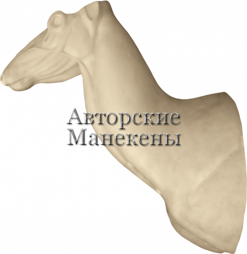 Манекен марал МРЛТ-1