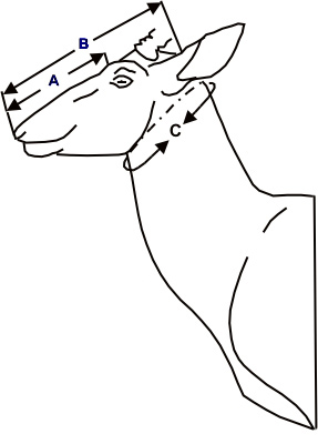 888f85312bd9e11c83be769a3a78138e.jpg